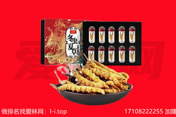 福州市闽侯回收虫草.jpg
